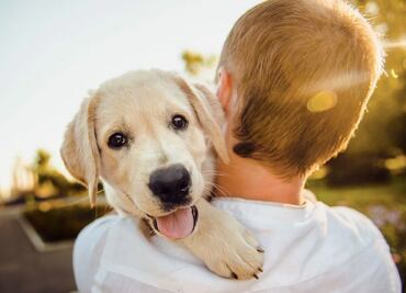 ¿Tu perro realmente te ama? Esto es lo que dicen los expertos