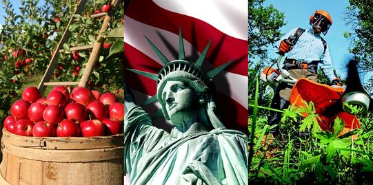 Mexicanos, elegibles para visas de EU de agricultura, jardinería y limpieza