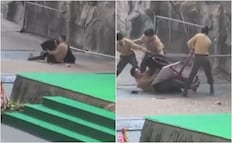 ¡Impactante! Oso ataca a cuidador en pleno show de zoológico en China. VIDEO