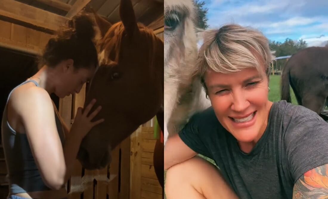 Huracán Milton: “No evacuamos, no abandonaremos a nuestros animales, son nuestros hijos”. Foto: Captura TikTok