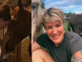 Huracán Milton: “No evacuamos, no abandonaremos a nuestros animales, son nuestros hijos”, dicen habitantes