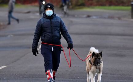 Los Miami Heat usarán perros para detectar a enfermos de Covid-19
