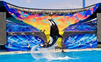 SeaWorld San Diego: todo lo que debes saber para visitarlo