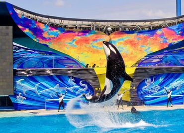 SeaWorld San Diego: todo lo que debes saber para visitarlo
