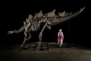 Quién es el multimillonario que compró el esqueleto de dinosaurio más caro del mundo