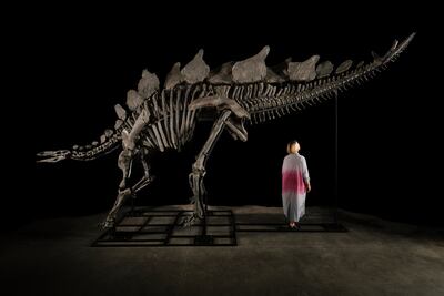 Quién es el multimillonario que compró el esqueleto de dinosaurio más caro del mundo