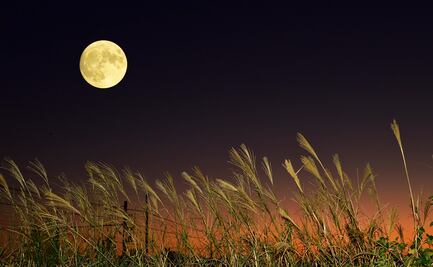 Luna Llena de octubre 2025. Así se verá la primera Superluna del año desde México. HORA EXACTA
