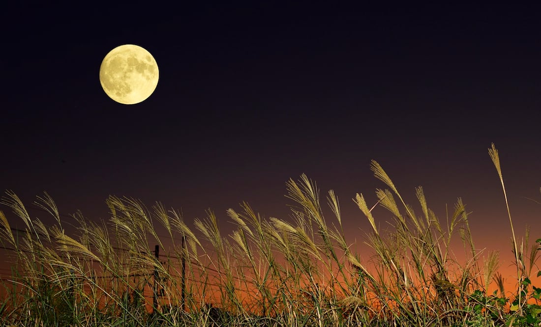 Luna llena de Cosecha 2023 y la última Superluna del año. ¿Cómo y cuándo verla? Foto: iSTOCK/Beautiful Fireworks