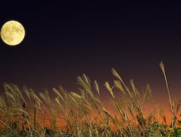 Luna Llena de octubre 2025. Así se verá la primera Superluna del año desde México. HORA EXACTA