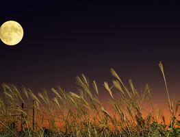 Luna Llena de octubre 2025. Así se verá la primera Superluna del año desde México. HORA EXACTA