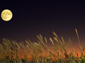 Luna llena de Cosecha 2023 y la última Superluna del año. ¿Cómo y cuándo verla?
