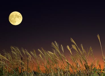 Luna Llena de octubre 2025. Así se verá la primera Superluna del año desde México. HORA EXACTA
