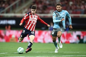 Necaxa vs Chivas: horario y dónde ver partido en VIVO de Liga MX (miércoles 22 de abril)