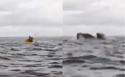 ¡Impactante! Papá capta en video el momento en que una ballena se traga a su hijo
