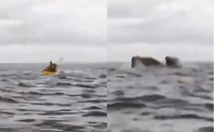 ¡Impactante! Papá capta en video el momento en que una ballena se traga a su hijo