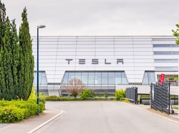 Tesla se desploma tras pelea entre Musk y Trump, pierde 140 mil millones de dólares en Wall Street