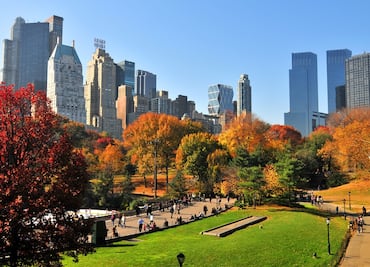 ¿Por qué el otoño es la temporada "ideal" para viajar a Nueva York?