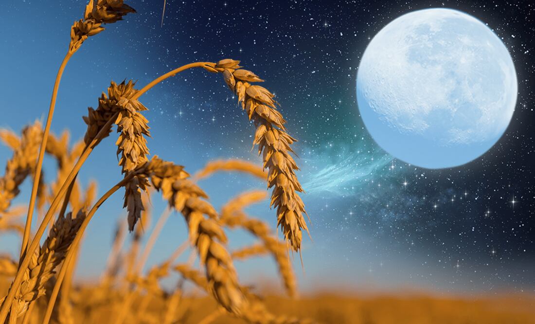 Equinoccio de otoño, Luna llena de Cosecha y un eclipse; lo imperdible de septiembre. Foto: iStock