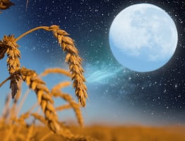 Luna de Cosecha y el equinoccio de otoño; los eventos astronómicos de septiembre