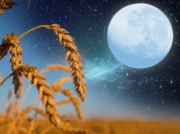 Luna llena de Cosecha, equinoccio de otoño y un cometa; los eventos astronómicos de septiembre