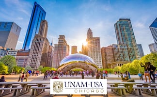 UNAM Chicago lanza convocatoria para estudiar inglés en el Verano Puma 2024; checa requisitos