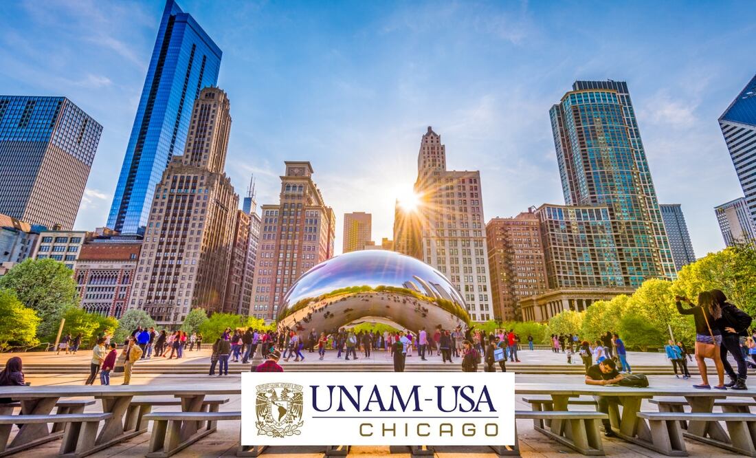 La UNAM Chicago ya tiene todo listo para el Verano Puma 2024. Foto: iStock