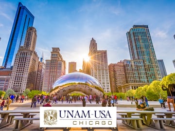 UNAM Chicago lanza convocatoria para estudiar inglés en el Verano Puma 2024; checa requisitos