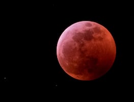 "Luna de Sangre" en México este 13 y 14 de marzo: ¿A qué hora y dónde verla?