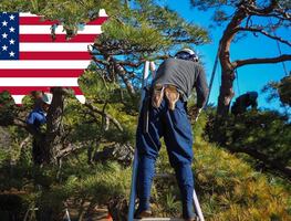 ¿Cuánto gana un trabajador forestal en Estados Unidos? ¿Hay vacantes?