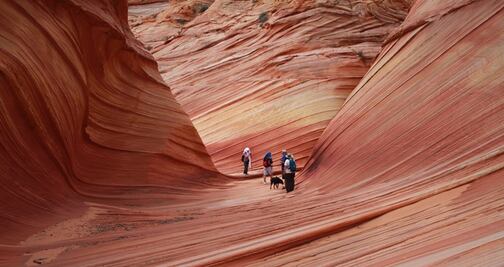 La impactante “ola de arena” que no te puedes perder en Arizona
