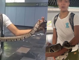 Joven intenta entrar a la línea 3 del Metro de CDMX con una serpiente en la mano. VIDEO