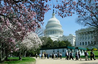 Lugares para ver cerezos en EU