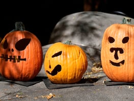¿Cuándo y cómo se celebra Halloween en Estados Unidos?