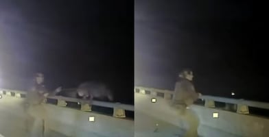 VIDEO: Agente de Florida salva a un perro policía luego de que este saltara desde un puente