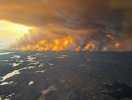Incendios forestales en el oeste de Canadá: situación crítica y evacuaciones masivas. FOTOS