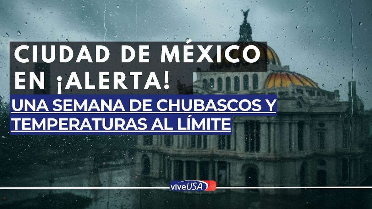 Clima México HOY: así golpeará el Frente Frío 19 con lluvias fuertes, heladas y vientos de 100 km/h. Foto IA