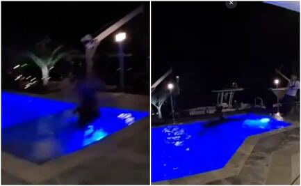 Video. Enorme cocodrilo irrumpe en alberca y aterra a familia en Florida