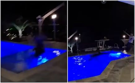 Video. Enorme cocodrilo irrumpe en alberca y aterra a familia en Florida