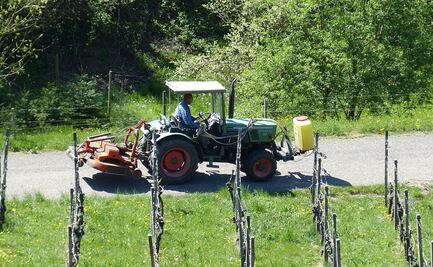 Canadá contratará a 6 trabajadores agrícolas mexicanos; ofrece $32,000