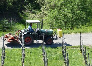 Canadá contratará a 6 trabajadores agrícolas mexicanos; ofrece $32,000