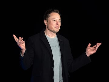 Elon Musk ha engendrado un “harén” de más de 100 hijos de diferentes madres, afirman