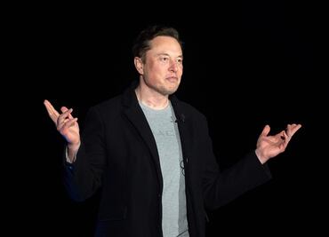 Elon Musk ha engendrado un “harén” de más de 100 hijos de diferentes madres, afirman