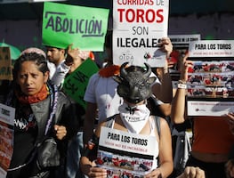 CDMX prohíbe corridas con muerte del toro y uso de armas punzocortantes