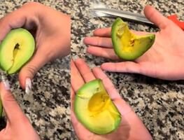 Influencer confunde aguacates mexicanos sin madurar con "falsos" y le llueven críticas. VIDEO