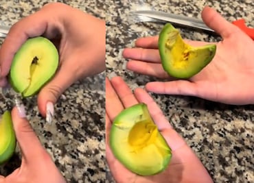 Influencer confunde aguacates mexicanos sin madurar con "falsos" y le llueven críticas. VIDEO