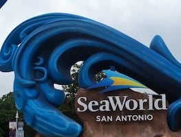 Ubicación, costo y consejos para visitar SeaWorld en San Antonio
