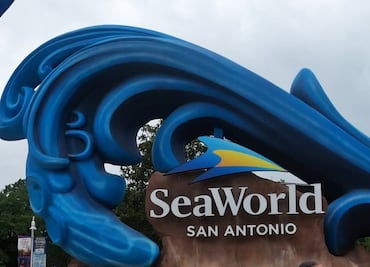 Ubicación, costo y consejos para visitar SeaWorld en San Antonio