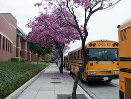 Distrito escolar de Los Ángeles pagará 19,9 millones por abusos sexuales a estudiantes