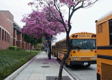 Distrito escolar de Los Ángeles pagará 19,9 millones por abusos sexuales a estudiantes