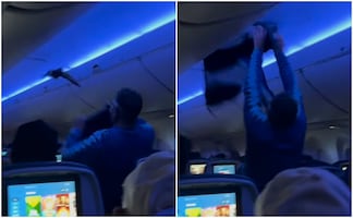  ¡Caos en el aire! Palomas invaden vuelo de Delta y obligan a abortar despegue